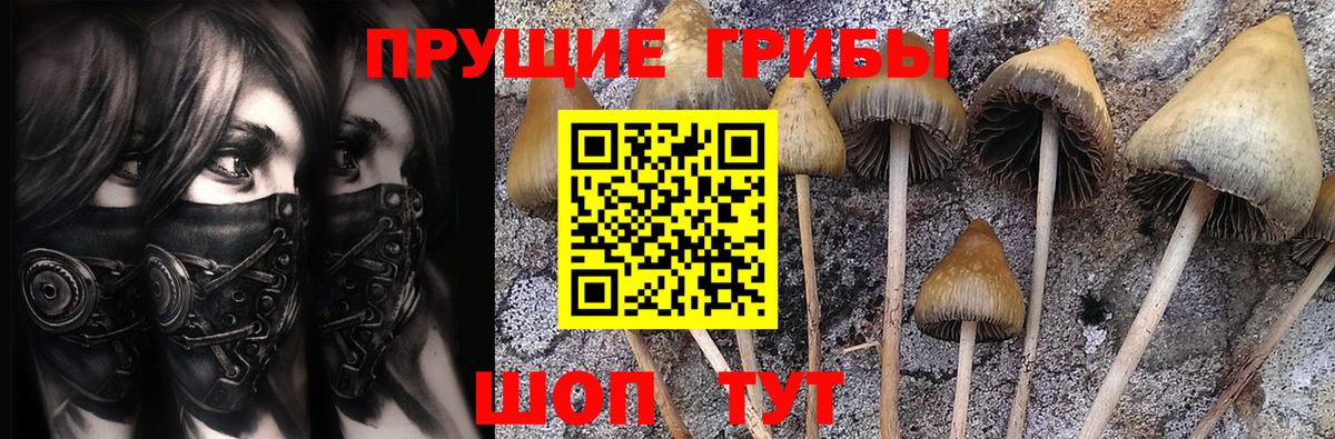 Галлюциногенные грибы прущие грибы  Вход с VPN  Ярославль 