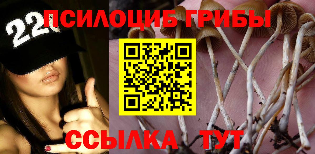 Марихуана Ярославль