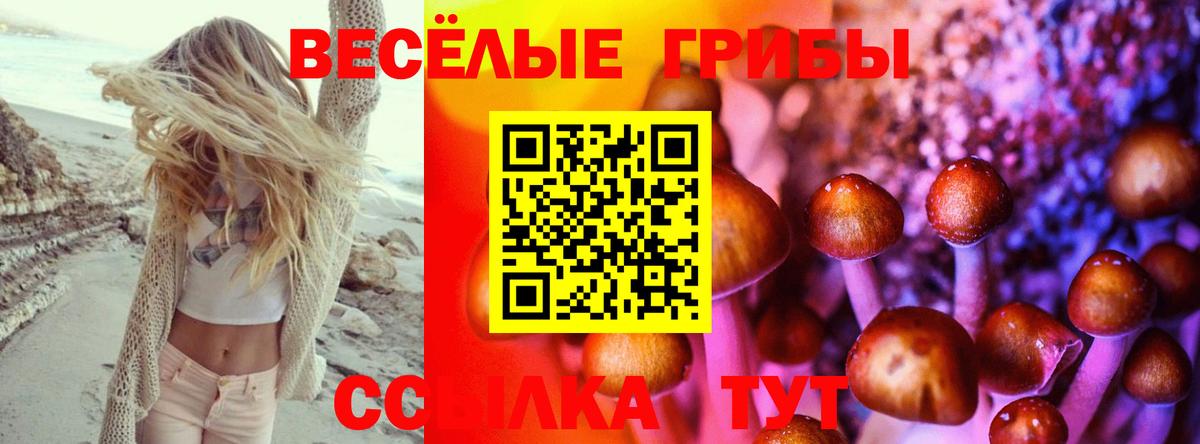 Галлюциногенные грибы прущие грибы Ярославль